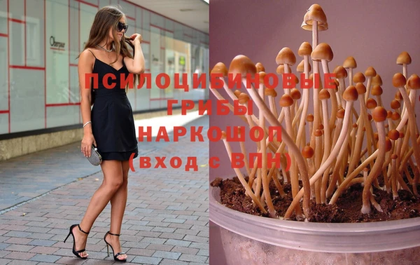 ECSTASY Нефтекумск