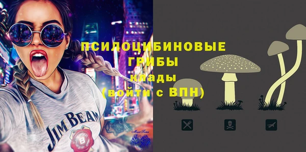 круглые Новодвинск