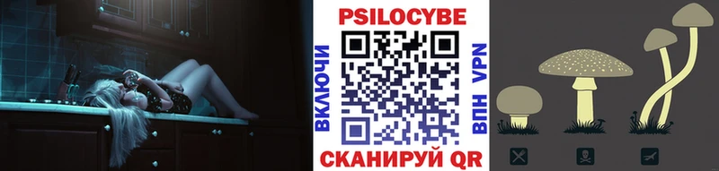 Псилоцибиновые грибы Psilocybine cubensis  Дыгулыбгей 